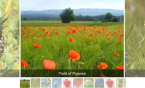 Numix Touch Slider Carousel - Wordpress Plugin Screenshot 5