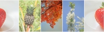 Numix Touch Slider Carousel - Wordpress Plugin Screenshot 6